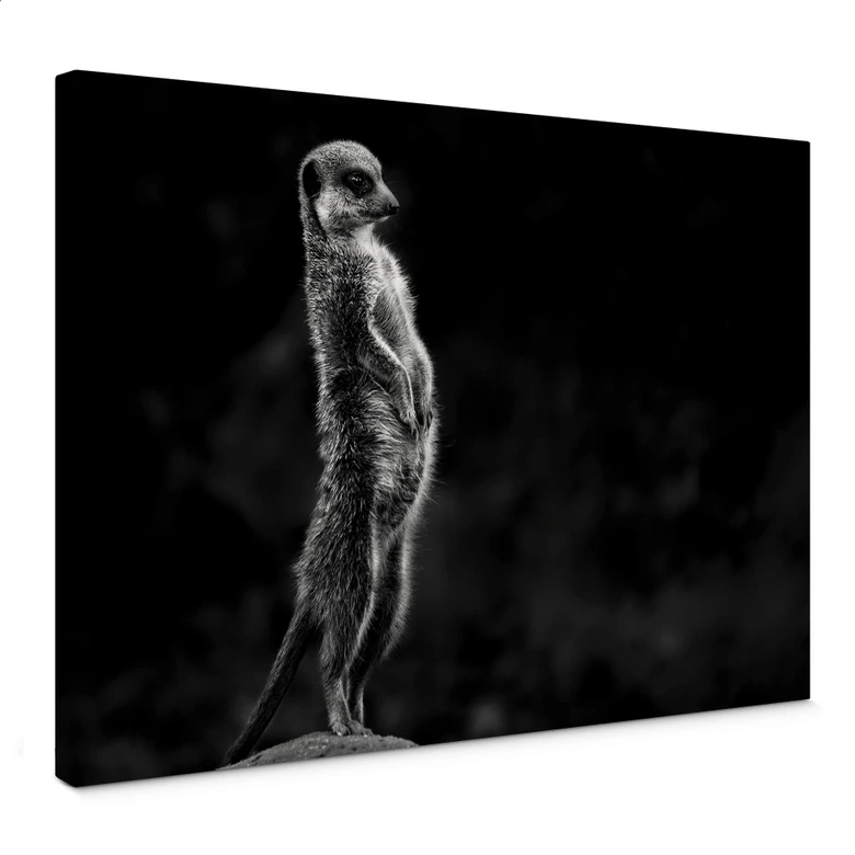 Canvas van Son – Waakzaamheid 