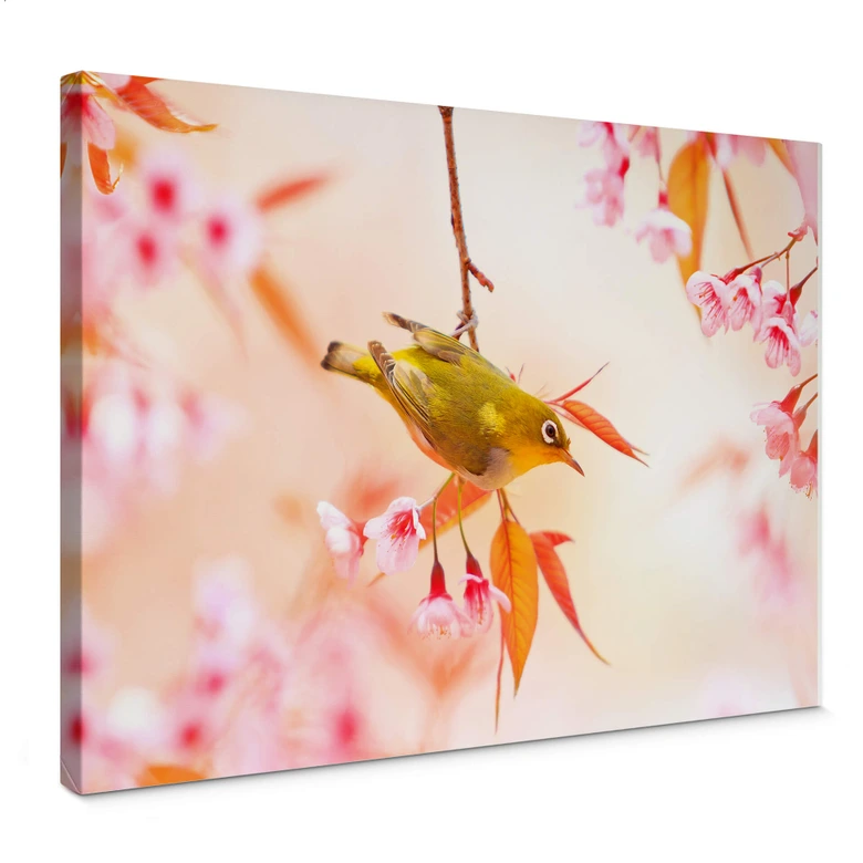 Leinwandbild Vogelgezwitscher in der Kirschblüte 