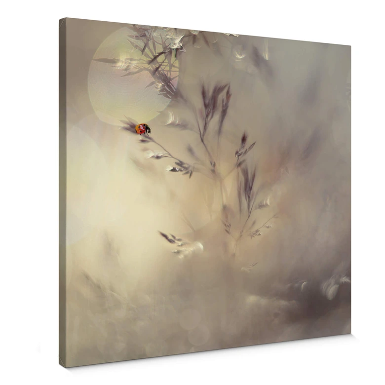 Canvas Westum – Little Lady 