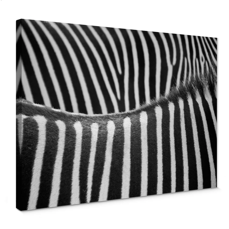 Leinwandbild Zebramuster 