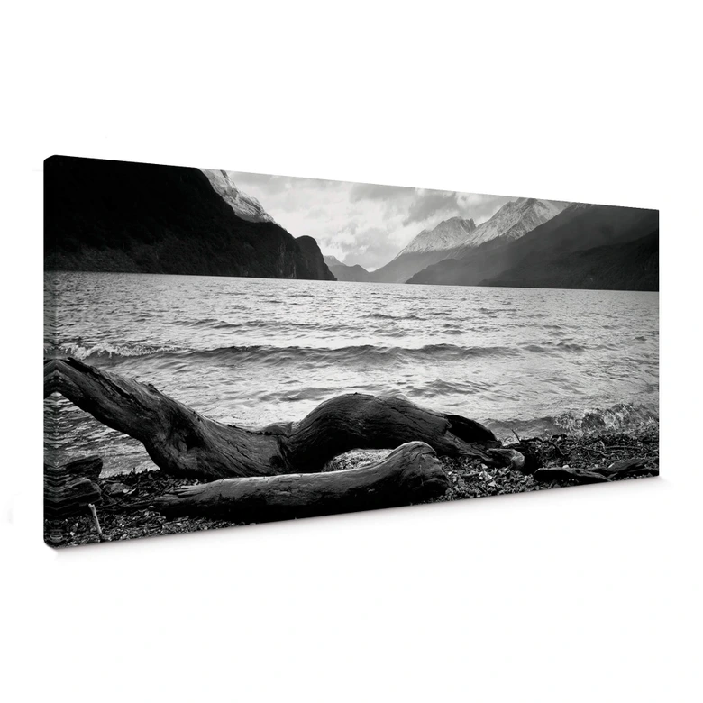 Canvas Log & Lake - zwart wit 