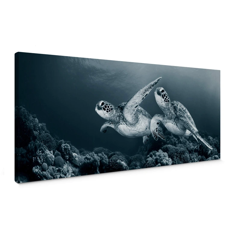 Leinwand Narchuk - Zwei Schildkröten auf Reisen 