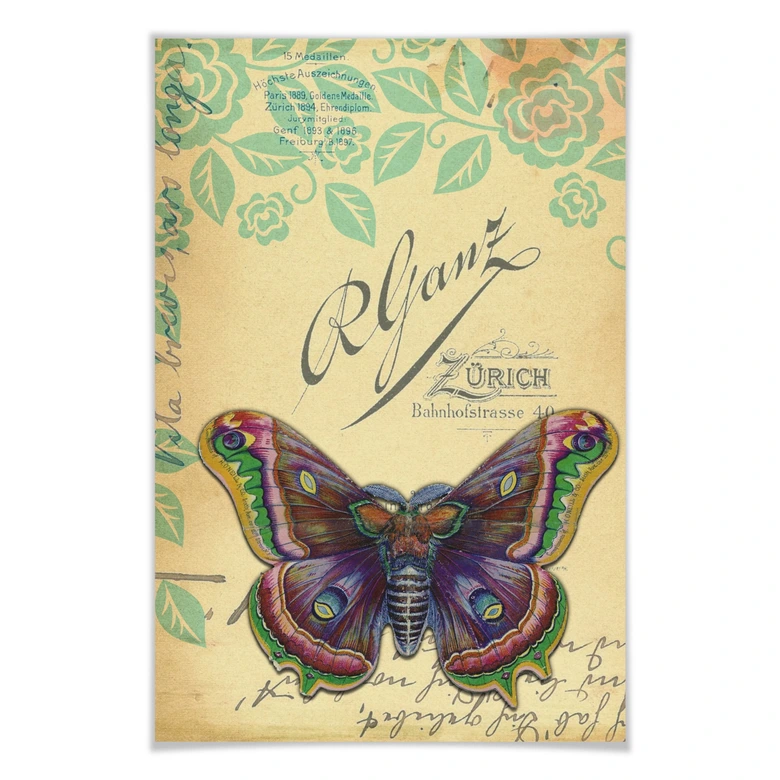 Poster Vintage Buttafly 