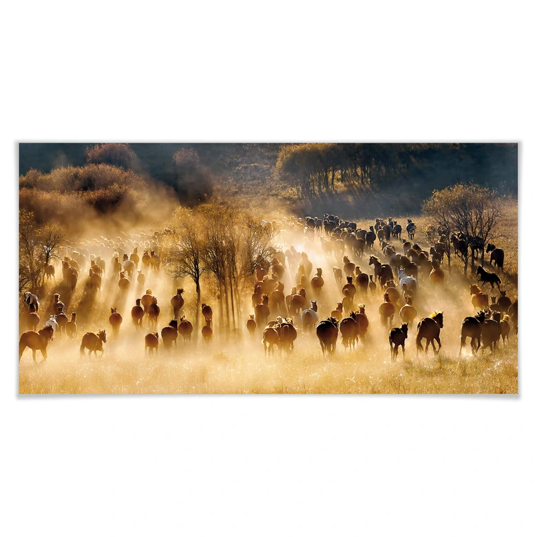 Poster Zhu - Vilda hästar i bergen - Panorama 