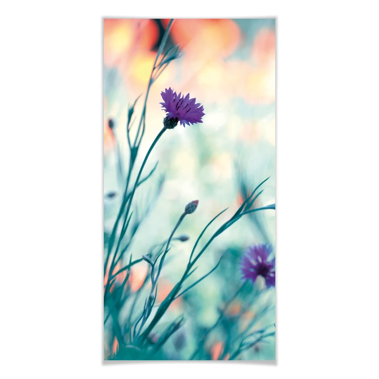 Poster Bravin - Luminous Purple - Panorama 