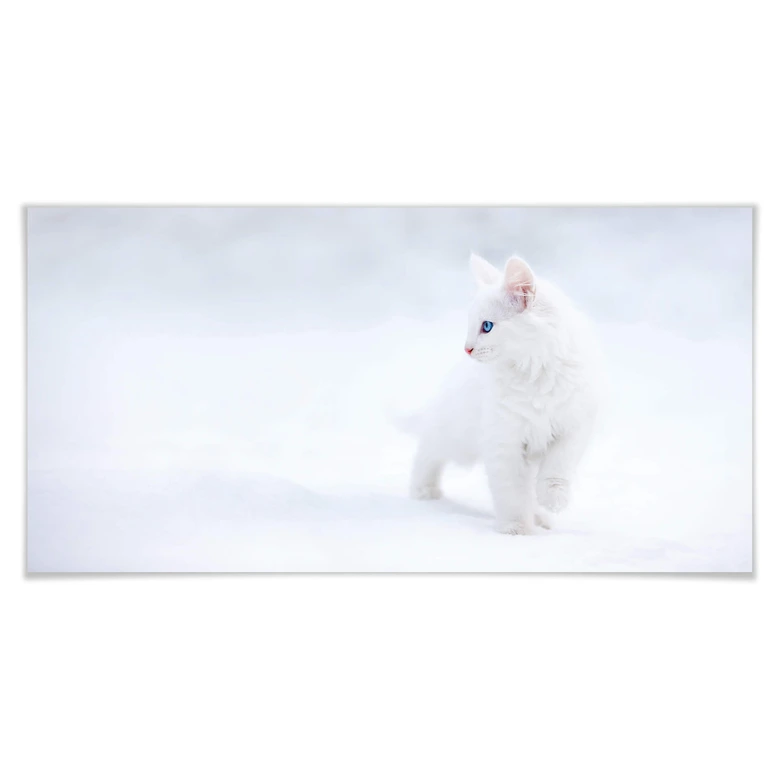 Poster Prexus - Weißer als Schnee 