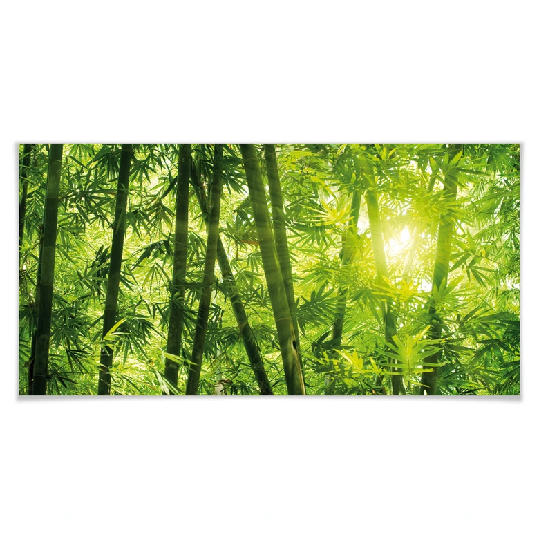 Poster - Luce solare nel bosco di bambù - panoramica 
