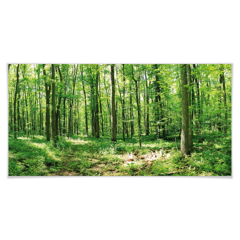 Poster Waldpanorama 02 