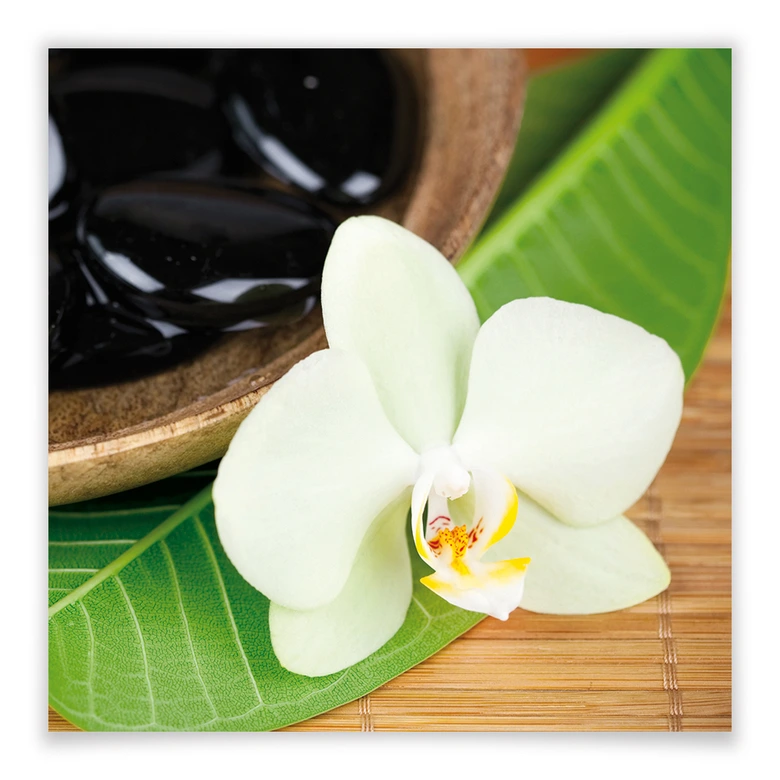 Poster - Wellness Oase 