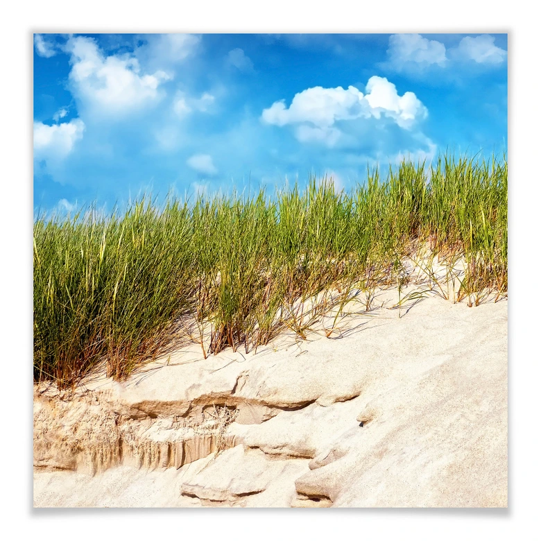 Poster Ostsee Dünenlandschaft 