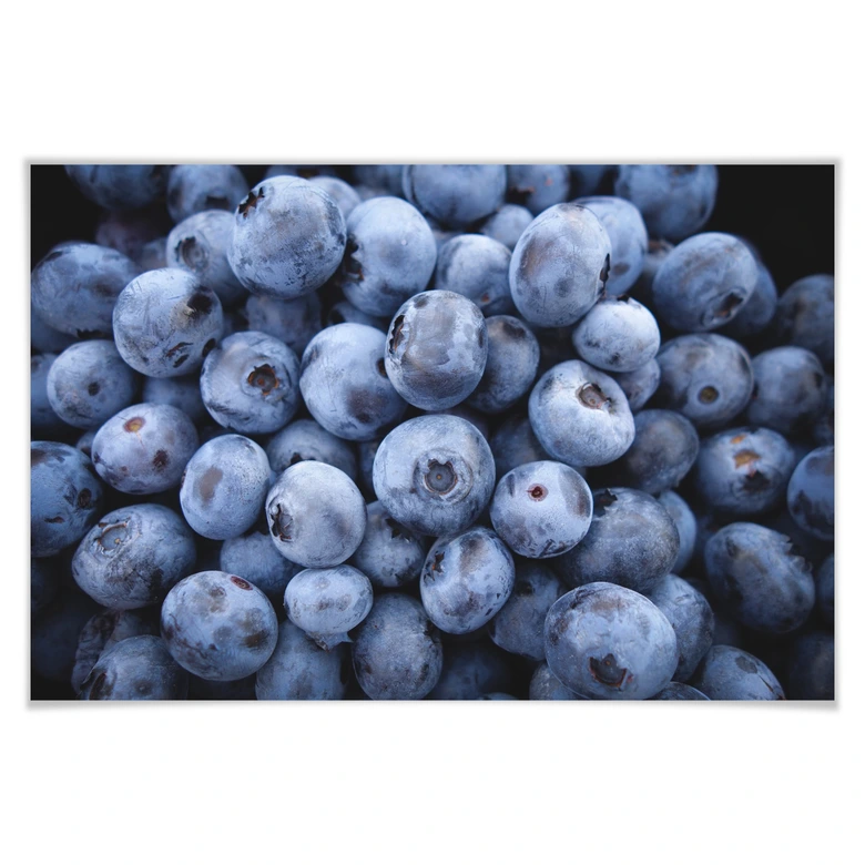 Poster Blaubeeren 