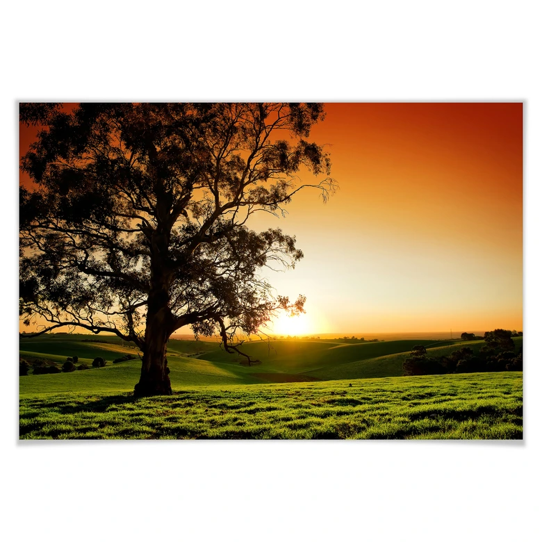 Poster Sunset at the Vineyard 