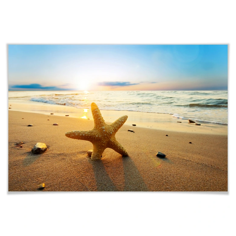 Poster Seestern im Sand 
