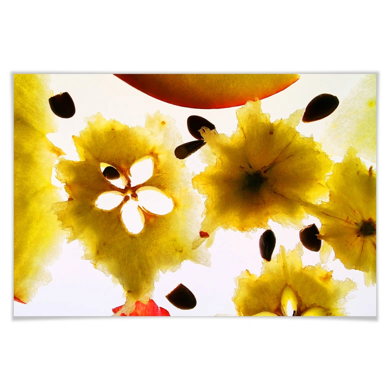 Poster Abstract Fruit 