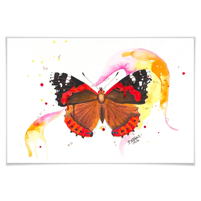 Poster Buttafly - Vanessa Athalanta 