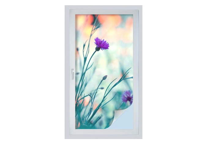 Window foil Bravin - Luminous purple 