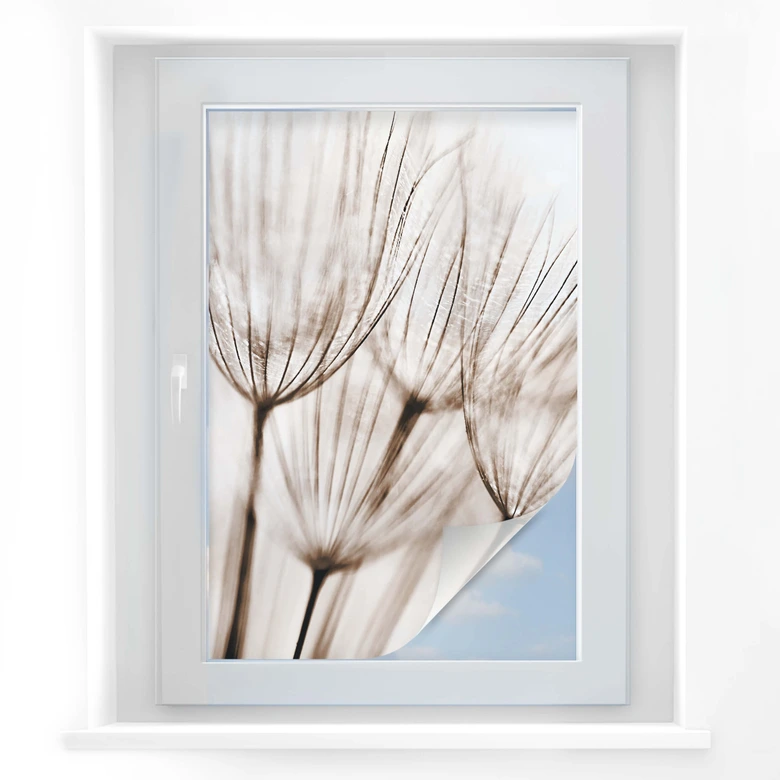 Película de privacidad para paraguas de aviador 