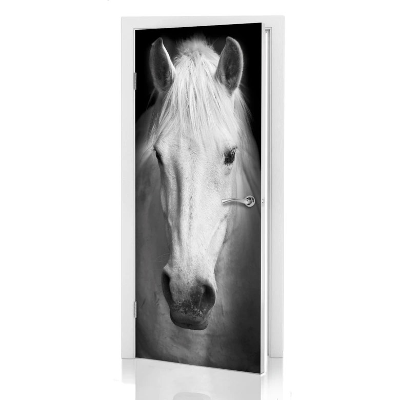 Door decor: White Horse 