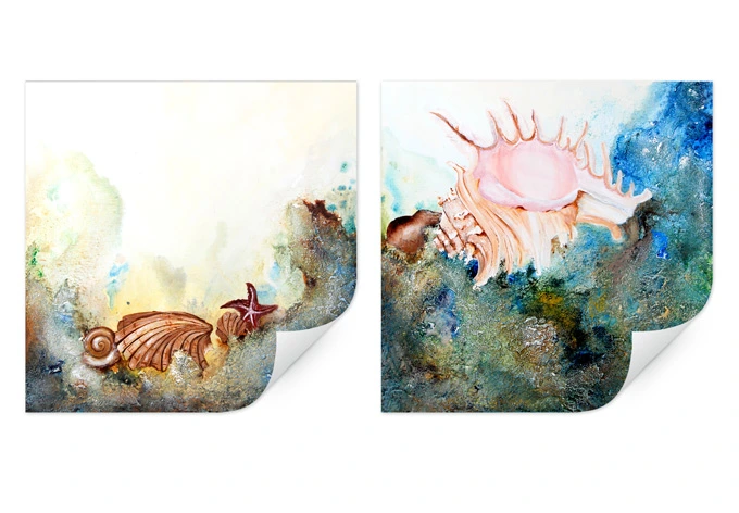 Wallprint - Fedrau - Muscheln (2-teilig) 