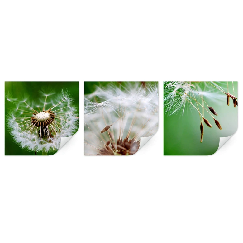 Zelfklevende Poster - Dandelions (3-delig) 