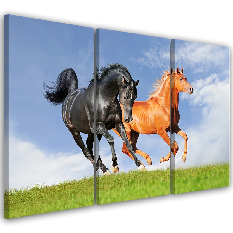 Leinwandbild 3-teilig, Pferde im Galopp 