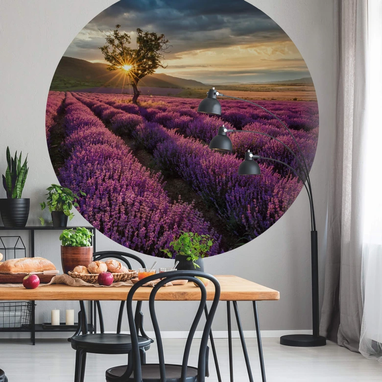Round wall mural Lavender in France - non self-adhesive/self-adhesive wallpapers 