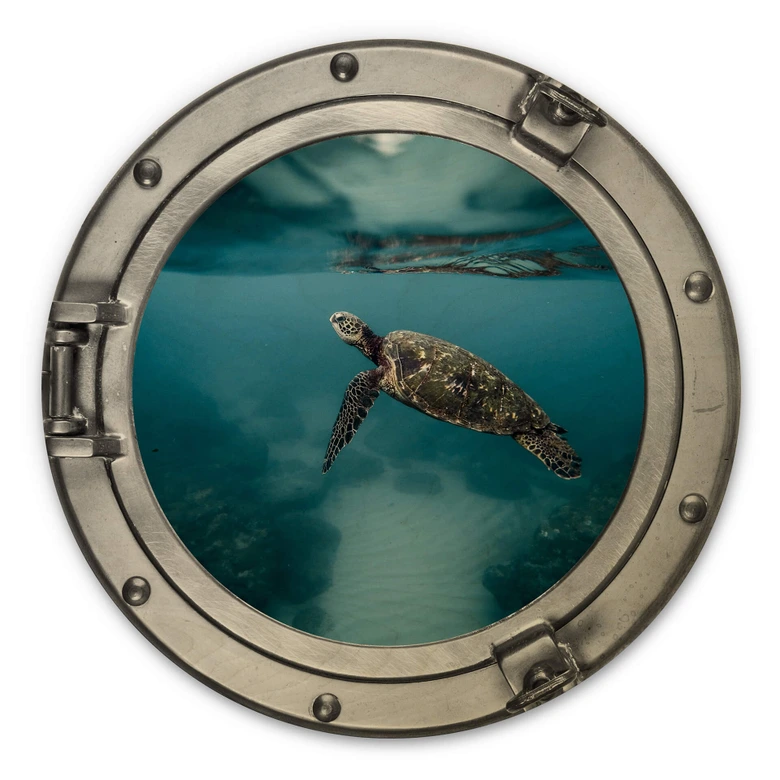 Holzbild 3D-Optik Bullauge - Schildkröte seitlich - Rund 