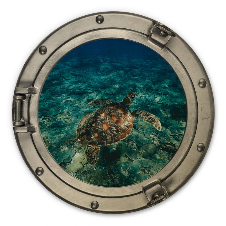 Holzbild 3D Optik - Schildkröte von oben - Rund 
