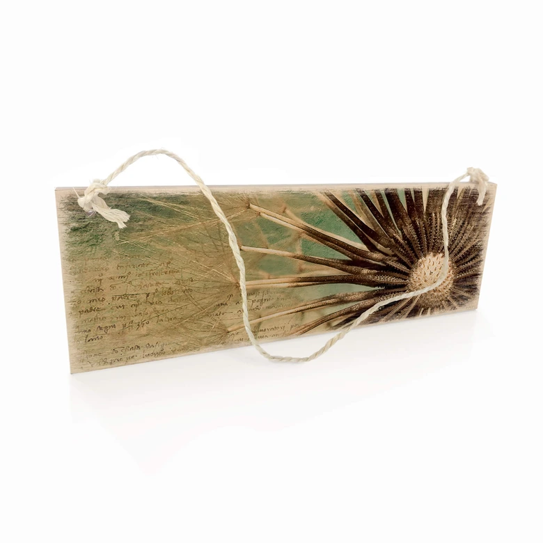 Holzschild Pusteblumen Poesie 