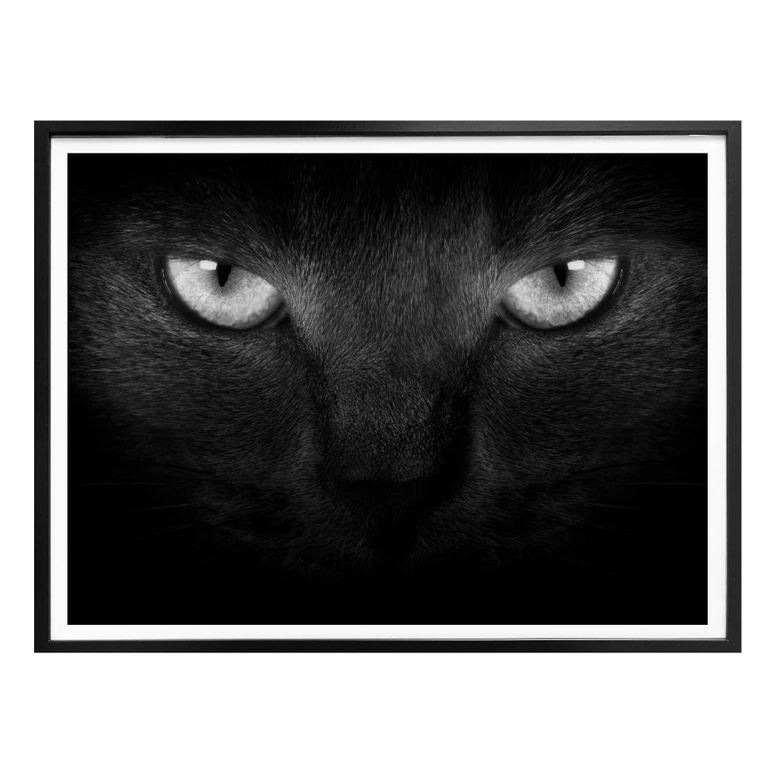 Poster Katzenaugen - schwarz/weiß 