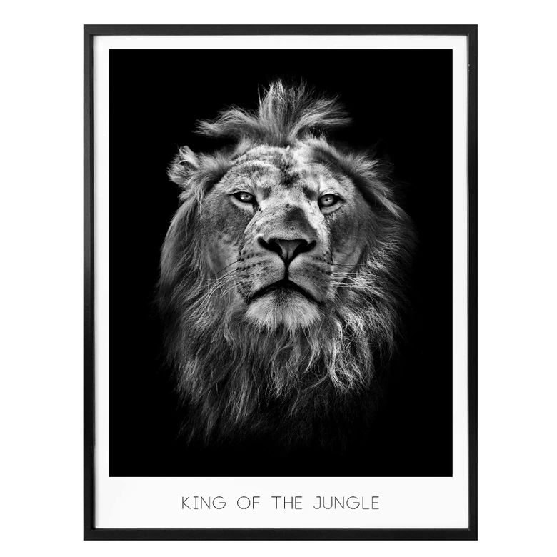 Poster Lion - Roi de la jungle 