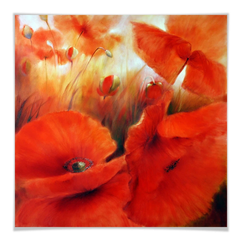 Poster Schmucker - Coquelicot rouge 