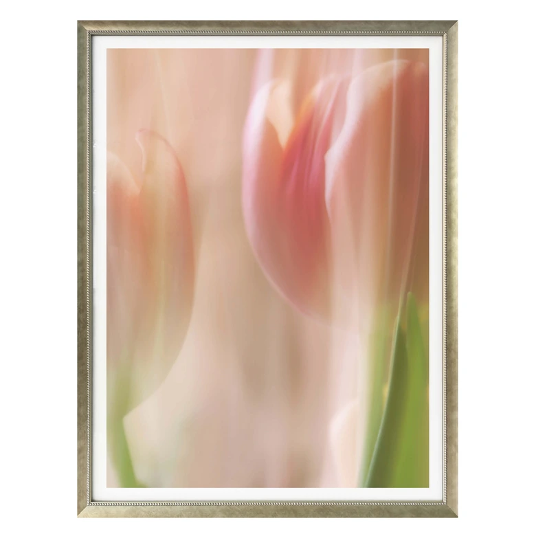 Poster Westum - Shy tulips 
