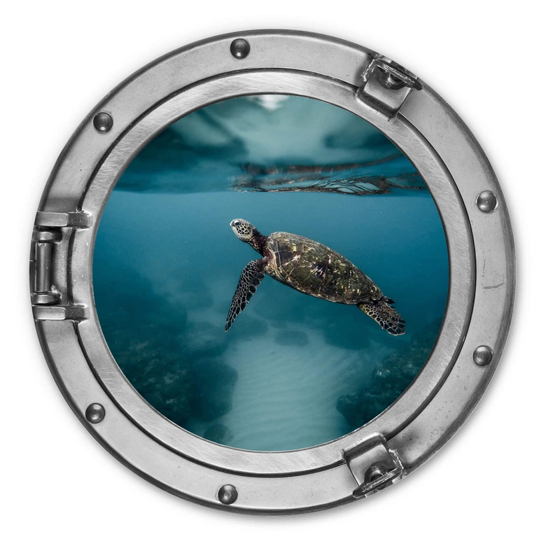 Alu-Dibond 3D-Optik Bullauge - Schildkröte seitlich - Rund 