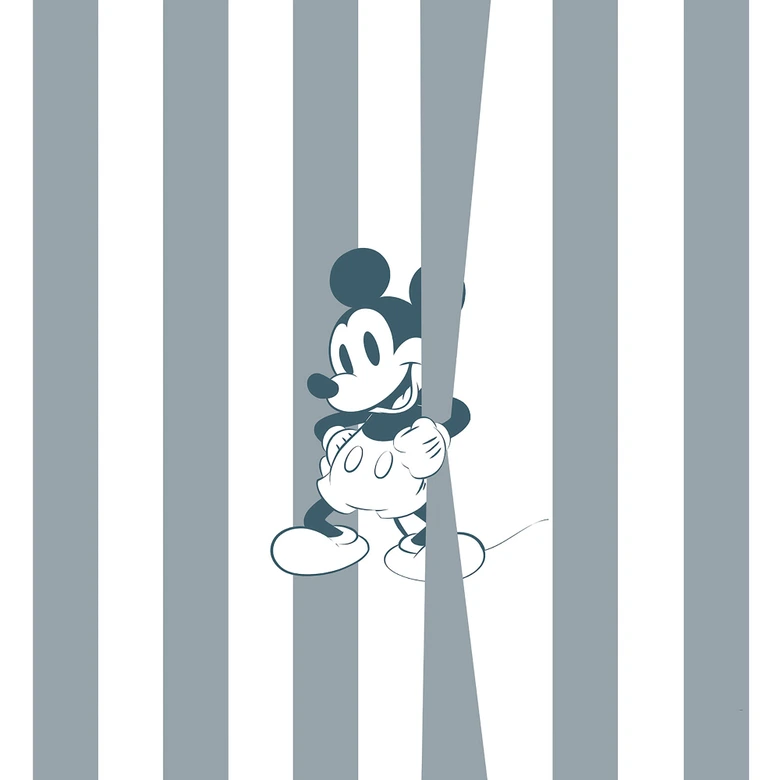 Vlies Fototapete - Mickey Offbeat - 200 x 250 cm 