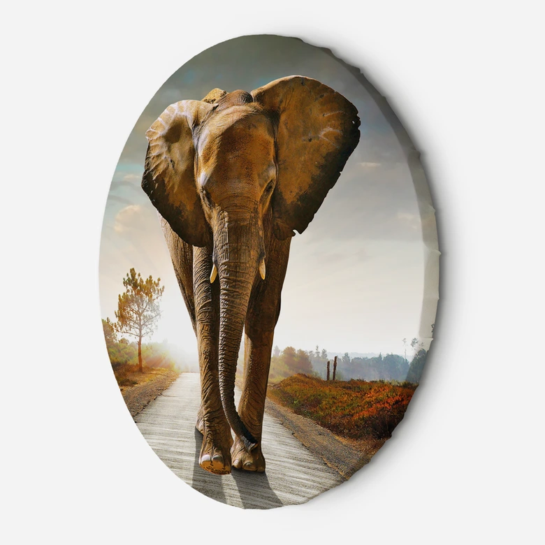 Rundes Leinwandbild Elefant auf der Straße 