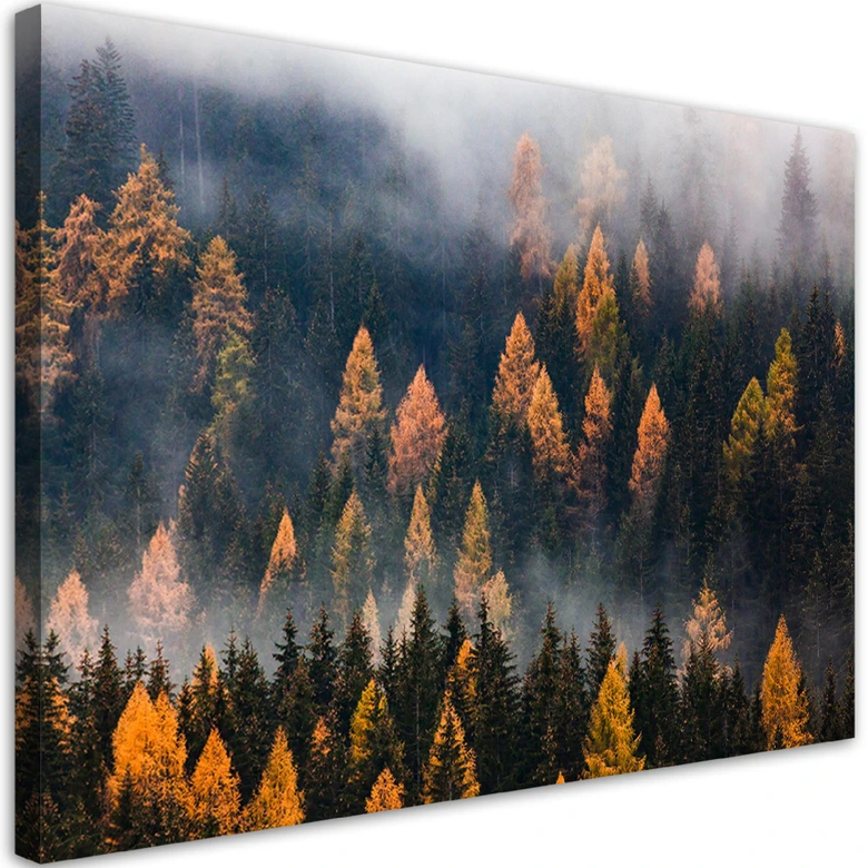 Leinwandbild, Herbstbäume 