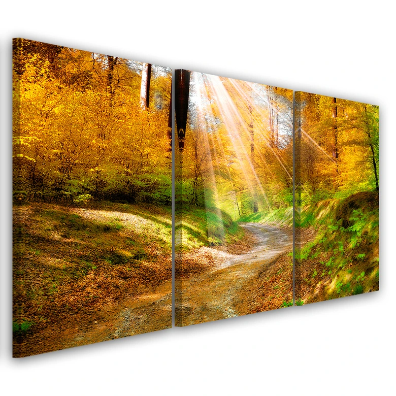 Leinwandbild 3-teilig, Wald Herbst Natur 