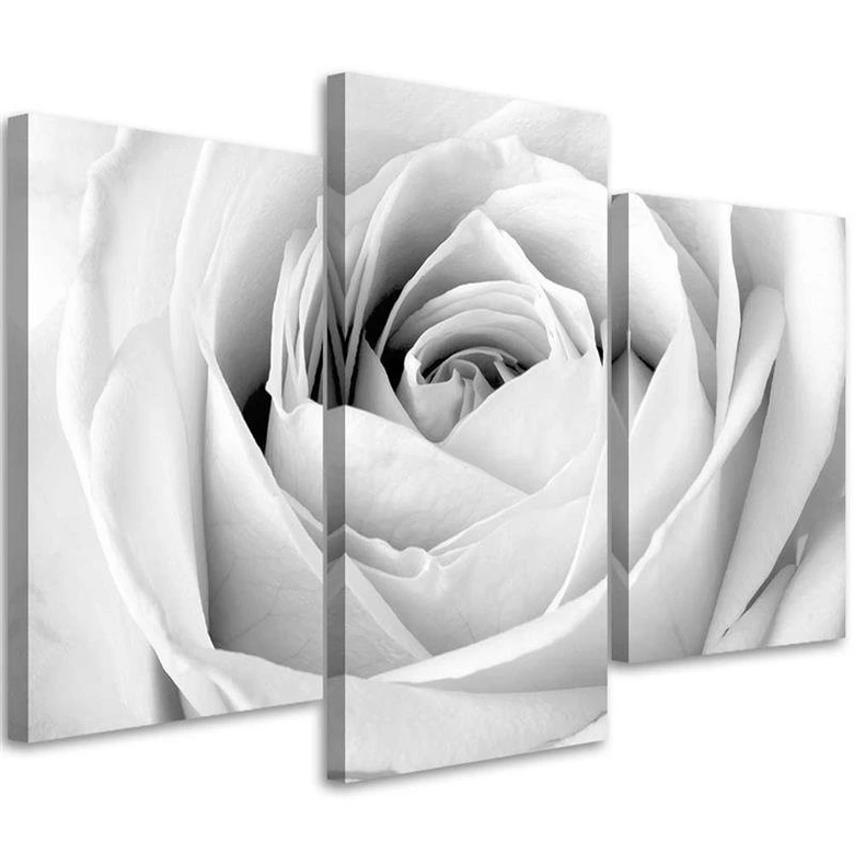 Leinwandbild 3-teilig, Weiße Rose Blumen 