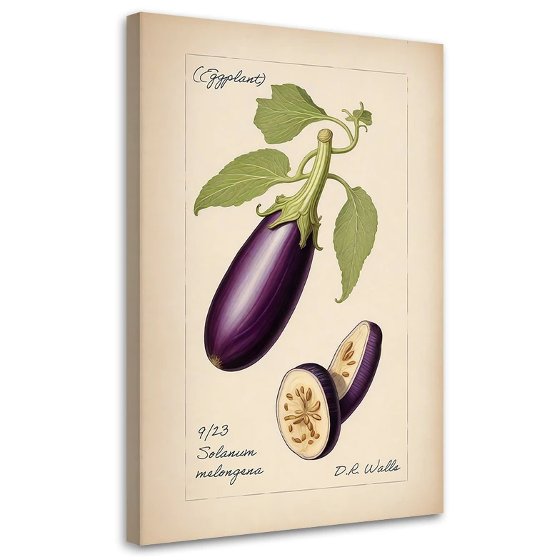 Leinwandbild Gemüse Weinlese Aubergine 