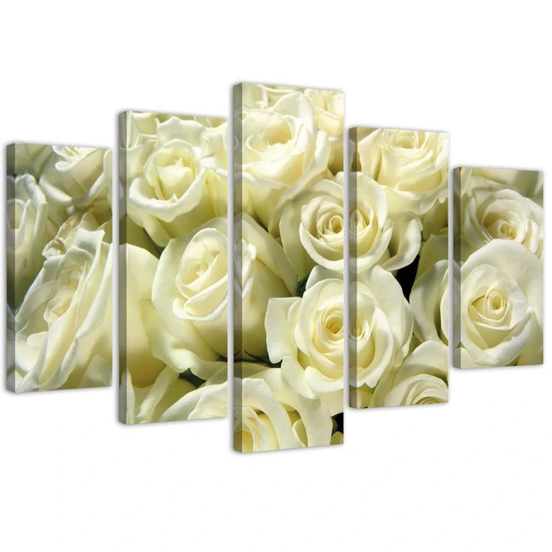 Leinwandbild 5 teilig, Weiße Rosen Blumen Natur 