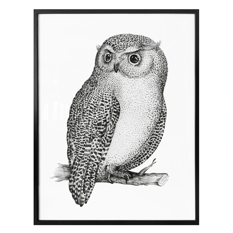 Póster Kvilis - Búho vigilante 