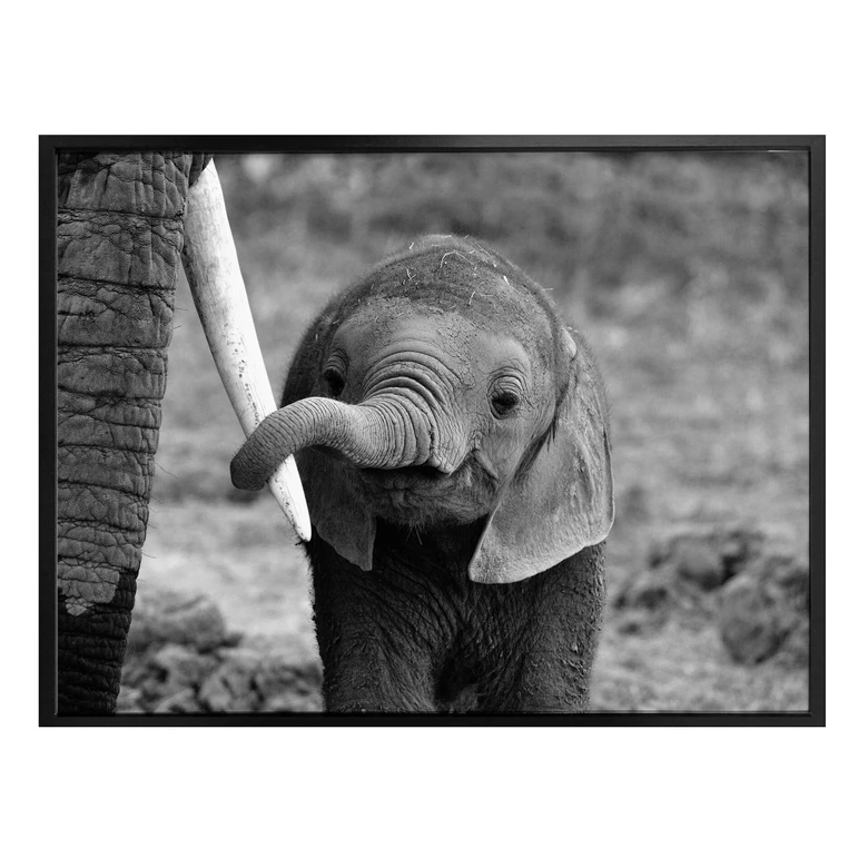 Poster Alicke - Close to Mum 