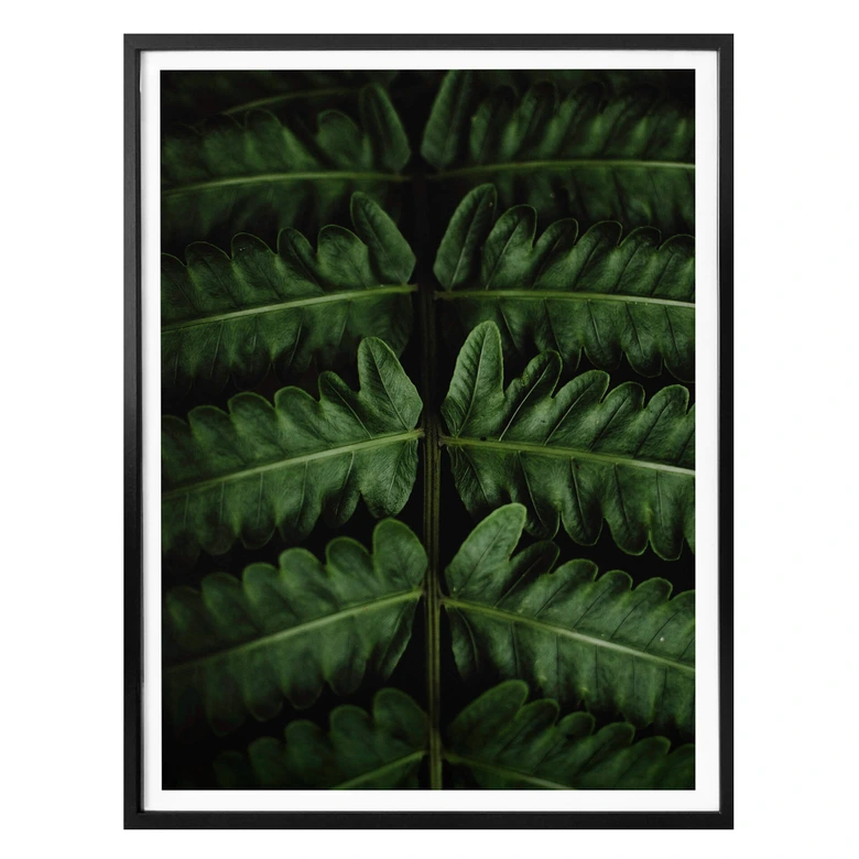Poster Botanical 02  