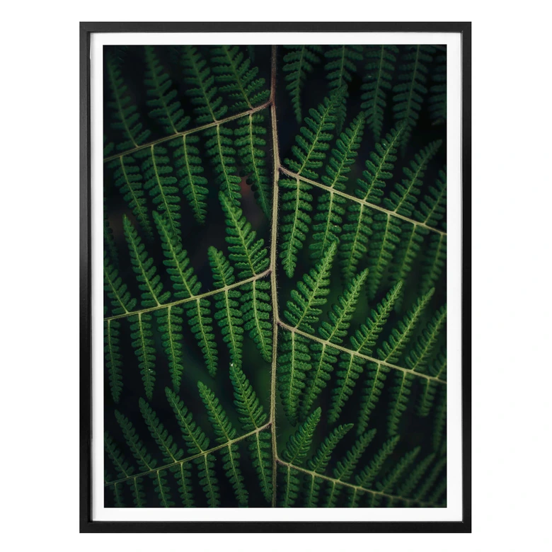 Poster Botanical 03 
