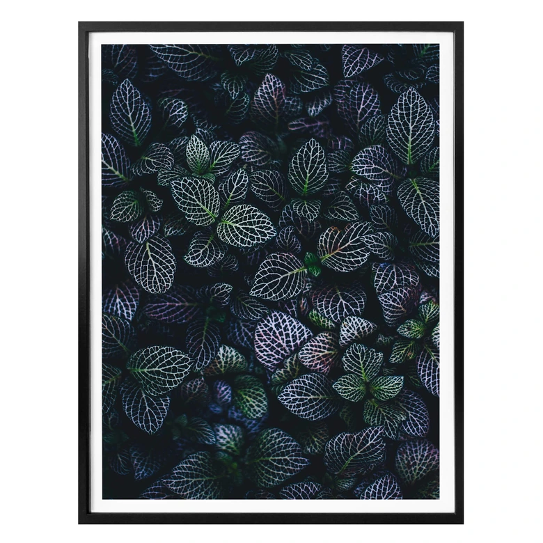 Poster Botanical Contrast 