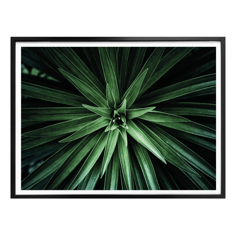 Poster Botanical 