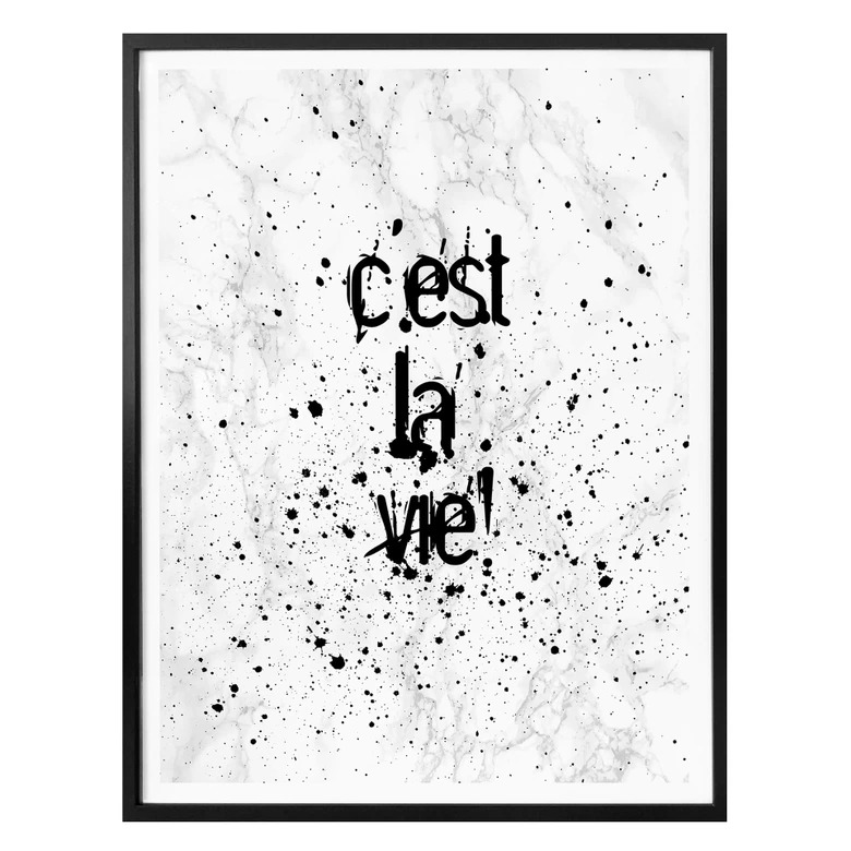 Póster C'est la vie 