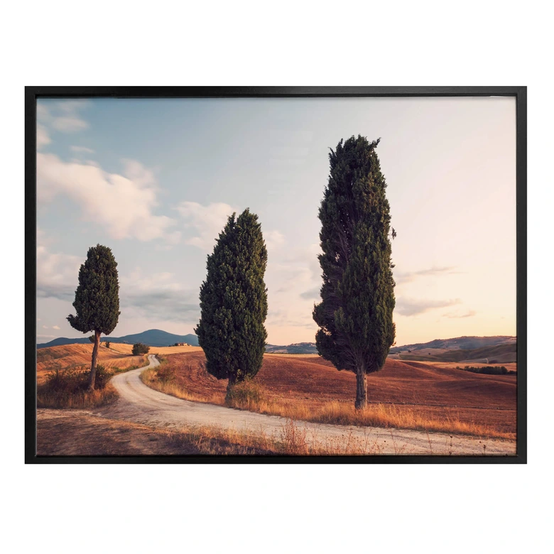 Plakat Colombo - Trzy cyprysy na drodze 