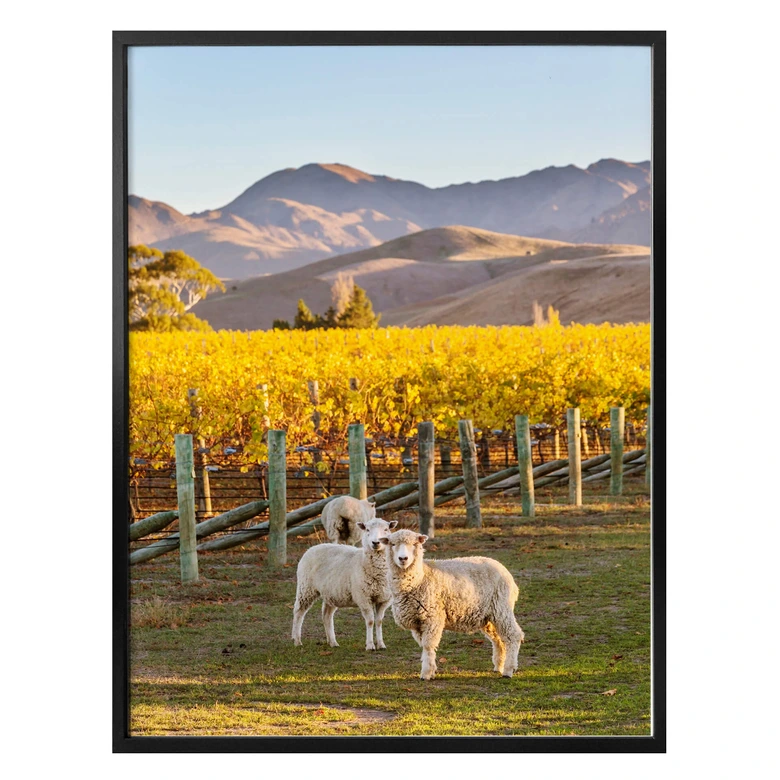 Póster Colombo - Puesta de sol en la montaña 